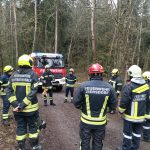 Bezirksmodul Waldbrand
