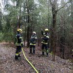 Bezirksmodul Waldbrand