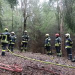 Bezirksmodul Waldbrand