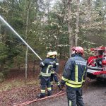 Bezirksmodul Waldbrand