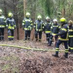 Bezirksmodul Waldbrand