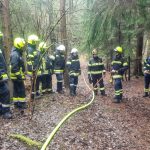 Bezirksmodul Waldbrand