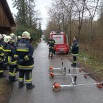 Bezirksmodul Waldbrand