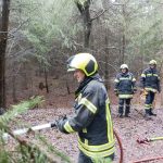 Bezirksmodul Waldbrand