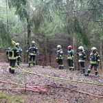 Bezirksmodul Waldbrand