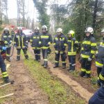 Bezirksmodul Waldbrand