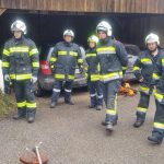 Bezirksmodul Waldbrand