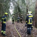 Bezirksmodul Waldbrand