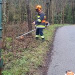 Bezirksmodul Waldbrand