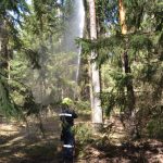 Bezirksmodul Waldbrand Grundlagen