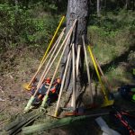 Bezirksmodul Waldbrand Grundlagen