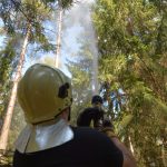 Bezirksmodul Waldbrand Grundlagen
