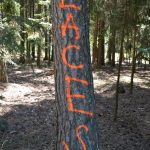 Bezirksmodul Waldbrand Grundlagen