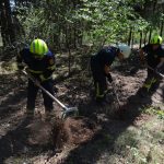 Bezirksmodul Waldbrand Grundlagen