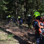 Bezirksmodul Waldbrand Grundlagen