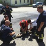 Bezirksübergreifende "Heißübung" in Stettenhof