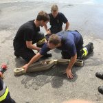 Bezirksübergreifende "Heißübung" in Stettenhof