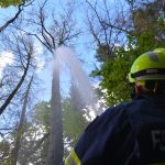 Bezirkswaldbrandübung am Manhartsberg
