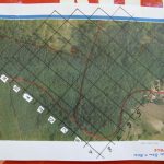 Bezirkswaldbrandübung am Manhartsberg