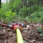 Bezirkswaldbrandübung am Manhartsberg