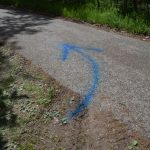 Bezirkswaldbrandübung am Manhartsberg