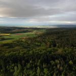 Bezirkswaldbrandübung am Manhartsberg