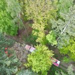 Bezirkswaldbrandübung am Manhartsberg