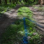 Bezirkswaldbrandübung am Manhartsberg