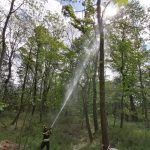 Bezirkswaldbrandübung am Manhartsberg