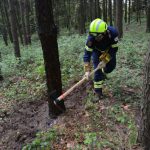Bezirkswaldbrandübung am Manhartsberg