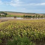 Der Tag danach - Update zum Unwetter in Hollabrunn