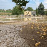 Der Tag danach - Update zum Unwetter in Hollabrunn