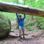 FJ_Hollabrunn_im_Haus_der_NoeFJ