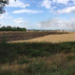 Flurbrand mit 5 Feuerwehren aus 3 Bezirken