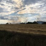 Flurbrand mit 5 Feuerwehren aus 3 Bezirken