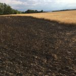 Flurbrand mit 5 Feuerwehren aus 3 Bezirken