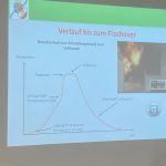 Gefahren bei der Brandbekäpfung im Innenangriff