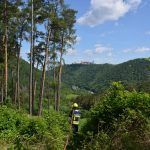Große Waldbrandübung in Paudorf