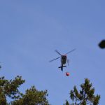 Große Waldbrandübung in Paudorf