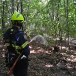 Große Waldbrandübung in Paudorf