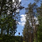 Große Waldbrandübung in Paudorf