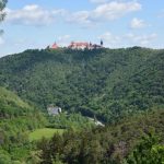 Große Waldbrandübung in Paudorf