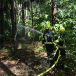 Große Waldbrandübung in Paudorf