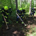 Große Waldbrandübung in Paudorf
