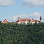 Große Waldbrandübung in Paudorf