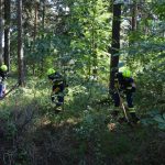 Große Waldbrandübung in Paudorf