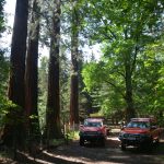 Große Waldbrandübung in Paudorf