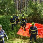 Große Waldbrandübung in Paudorf
