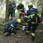 Große Waldbrandübung in Paudorf