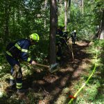 Große Waldbrandübung in Paudorf